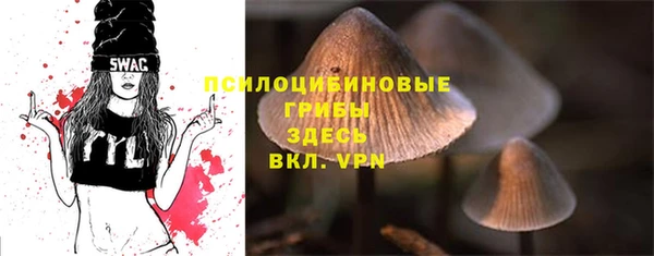 дживик Балахна
