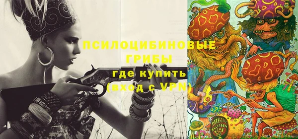 дживик Балахна