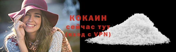 дживик Балахна
