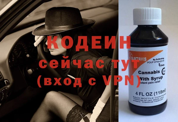 шишки Аркадак
