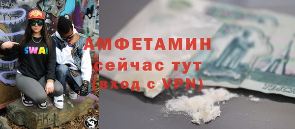 шишки Аркадак
