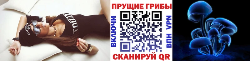 Псилоцибиновые грибы ЛСД нарко площадка телеграм Юрьевец