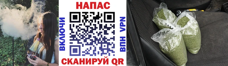 Каннабис планчик  продажа наркотиков  Юрьевец 